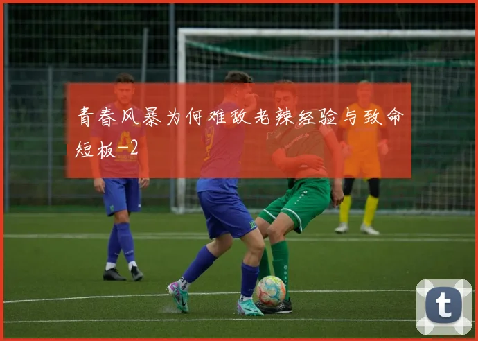 青春风暴为何难敌老辣经验与致命短板