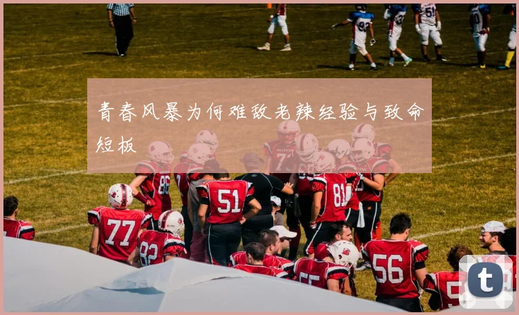 青春风暴为何难敌老辣经验与致命短板
